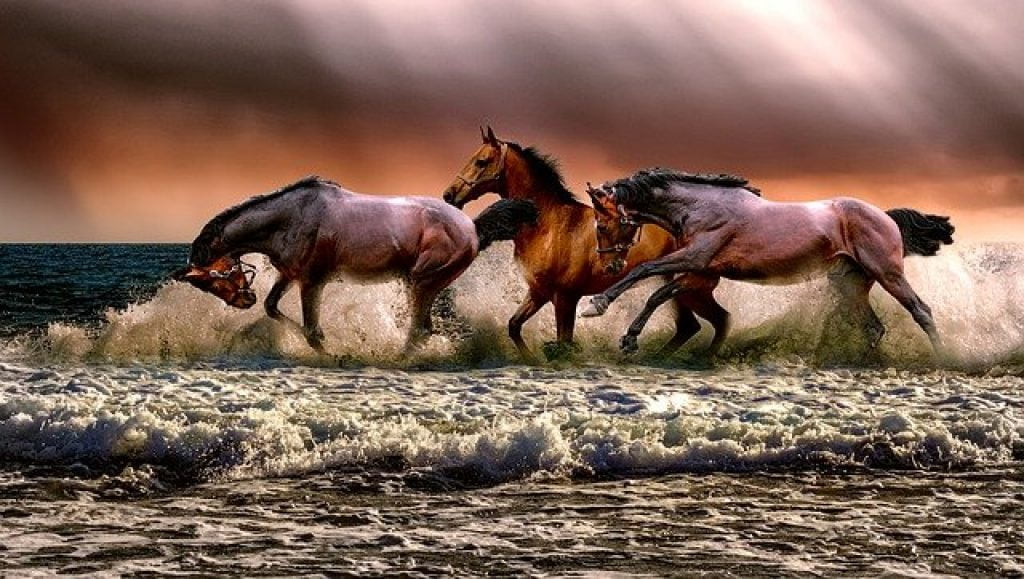 Ce înseamnă dacă visezi cai alergând