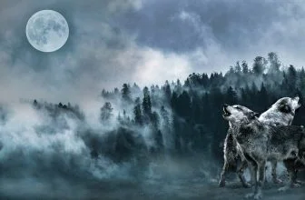 Care este sensul viselor și modul în care acestea vă influențează viața