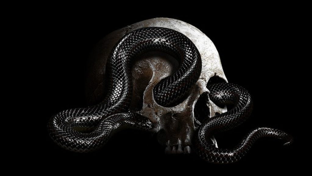 Un șarpe care iese dintr-un cadavru