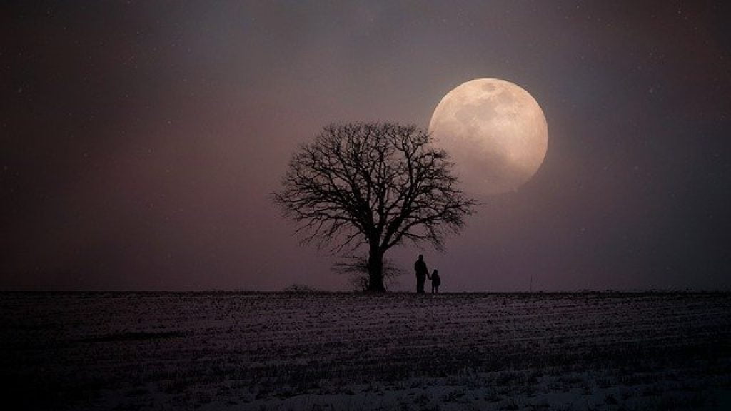 Să visezi că te plimbi în lumina lunii cu o persoană iubită